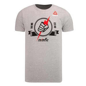 Reebok Mens Pride Fist Bolt Graphic T-Shirt, Grey, Small - 1 of 1