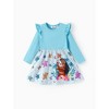 Disney Princess Kids Girls Ruffle Sleeve Dress Long Sleeve A Line Dresses - 3 of 4