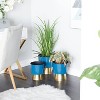 CosmoLiving by Cosmopolitan 3pc Modern Metal Planter Pots - 3 of 4