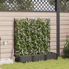 vidaXL Garden Planters 1 pc Lattice Black 120 x 40 x 126 cm Plastic - 3 of 4