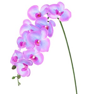 Unique Bargains Artificial Orchid Flowers Nine-headed Large Faux Phalaenopsis Silk Bouquets Real Touch 37 Inch - 1 of 4