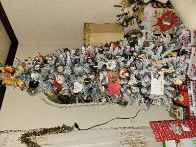 Guest review image 1 of 1, zoom in