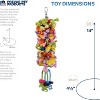 Prevue Pet Products 62606 Calypso Creations Club Bird Toy, Multicolor - 2 of 3