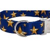 Country Brook Petz HossFit Jr Wide Premium Dog Collar - Americana Collection - 4 of 4