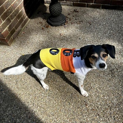 Halloween Dog Sweater - L - Hyde & Eek! Boutique™ : Target