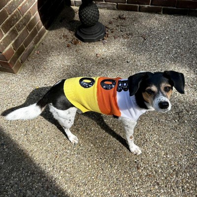 Halloween Dog Sweater - M - Hyde & Eek! Boutique™ : Target