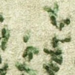 green/multi