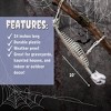 Halloween Giant Sloth Animal Skeleton (2Ft Long) Easy-to-Hang Limb Straps- Weather Resistant Yard/Tree Decoration w Movable Joints, Indoor/Outdoor Use - 3 of 4