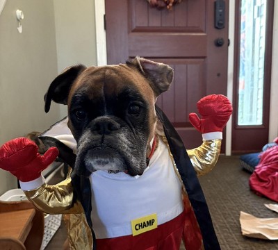 Guest review image 2 of 2, zoom in