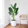 Artificial Tree Bird of Paradise Artificial PlantFaux Plant - 2 of 4