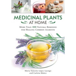Medicinal Plants at Home - by  María Tránsito López Luengo & Carlota Máñez (Paperback) - 1 of 1