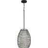 Progress Lighting Pawley 1-Light Dark Gray Rattan Coastal Outdoor Hanging Pendant Light, Matte Black, Etched Glass Shade - 2 of 2