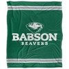 Babson College Primary Logo Stripes Silky 50x60 Blanket, 1 Sided - 2 of 4