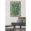 Trends International Cactus - Group Framed Wall Poster Prints - 2 of 4
