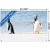 Trends International The Comedy Wildlife Photography Awards: Jennifer Hadley - Talk To The Fin Unframed Wall Poster Prints - 3 of 4