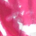 tie dye leaves autumn pink