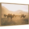 Amanti Art Camels on the Move by Aledanda Canvas Wall Art Print Framed 23 x 16-in. - 2 of 4