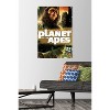 Trends International Conquest of the Planet of the Apes (1972) - One Sheet Unframed Wall Poster Prints - 2 of 4