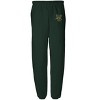 University of Vermont Officially Licensed Apparel - Primary Logo Team Color Jogger Sweatpants - 2 of 4