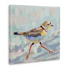 Stupell Industries Coastal Plover Abstract Bird Canvas Art, 36" x 36" - 2 of 4