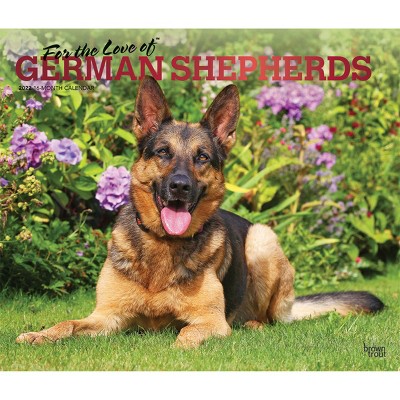 2022 Deluxe Calendar German Shepherds - BrownTrout Publishers Inc