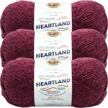 3 Pack) Lion Brand Wool-ease Thick & Quick Yarn - Claret : Target