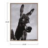 Storied Home Donkey Photo Wood Framed Canvas Wall Decor Portrait, Black and Grey - 2 of 2