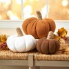 Pumpkin-Shaped or Embroidered Harvest Accent Pillows - 4 of 4