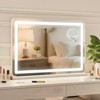 30.15"x20.19" Lighted Makeup Mirror£¬Three Color Lighting Modes, and 10X Magnification Mirror, 2-in-1 Vanity Mirror Both Tabletop and Wall-Mounted - 3 of 4