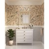 Progress Lighting Quillan 3-Light Vanity Light, Whiteplaster, Clear Glass Shades - 2 of 3