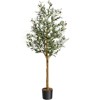 Artificial Olive Tree for Home Office Decor Indoor Fake Potted Tree, with Moss, Artificial Silk Plant, Designed Faux Wood Trunk and Realistic Fruit - 2 of 4
