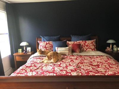 Guest review image 1 of 2, zoom in