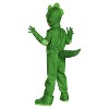 Boys' Gekko Deluxe Costume - image 4 of 4