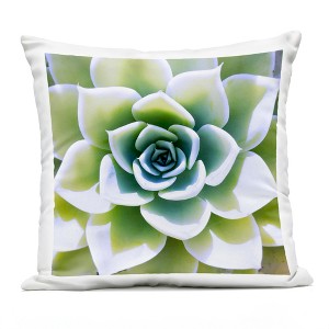 Stupell Industries Green Succulent Close Up Gardening Outdoor Decorative Throw Pillow, 18 x 18 - 1 of 3