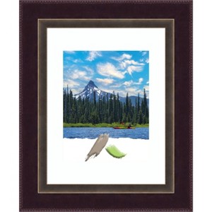Amanti Art Signore Bronze Wood Picture Frame - 1 of 4