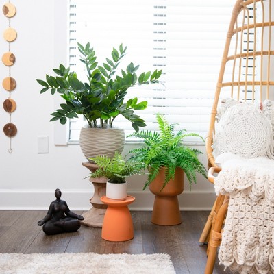 Lush Green Artificial Zamioculcas Plant in Black Pot