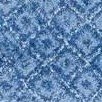 light blue/dark blue