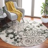 Adirondack ADR114 Non-Shedding Power Loomed Indoor Rugs - Safavieh - 2 of 4