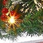 elk light box - 2pcs