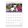 Puppies Monthly Wall Calendar, Puppies Photography, 15.5 x 22.75, White/Multicolor Sheets, 12-Month (Jan to Dec): 2025 - 2 of 4