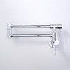 WOWOW Wall Mounted Pot Filler with Double Handle - 2 of 4