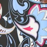 multi graphic paisley