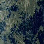 brushstroke camo