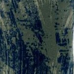 brushstroke camo