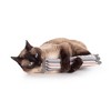 Hauspanther ModKickers by Primetime Petz Playtime Pleasures for Every Furry Friend - 2 of 4