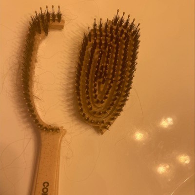 Conair Consciously Minded Porcupine Flexi Head Detangle Hair Brush : Target