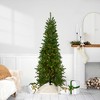Northlight Pre-Lit Canadian Pine Artificial Pencil Christmas Tree - 6.5' - Clear Lights - 2 of 4
