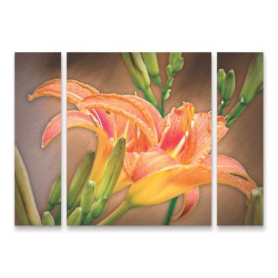 Trademark Fine Art Leslie Montgomery A Gift From the Orient 3 Piece Panel Set Art