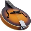 Recording King RAM-3 Dirty 30s A-Style Mandolin - 4 of 4