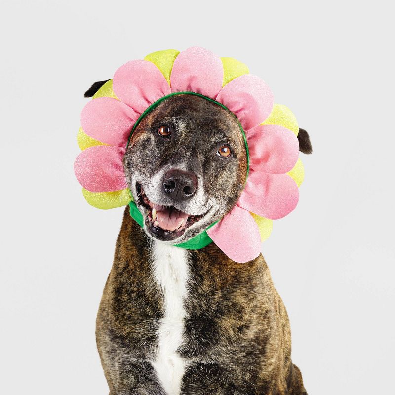 Halloween Flower Cat and Dog Headwear - Hyde & EEK! Boutique™, 1 of 12